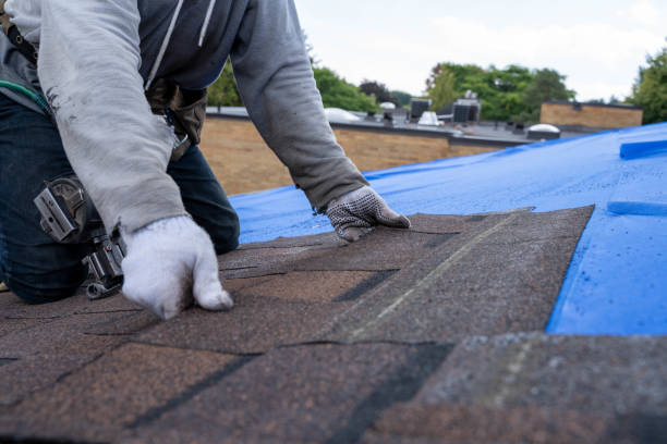 Quick and Trustworthy Emergency Roof Repair Services in Clare, MI