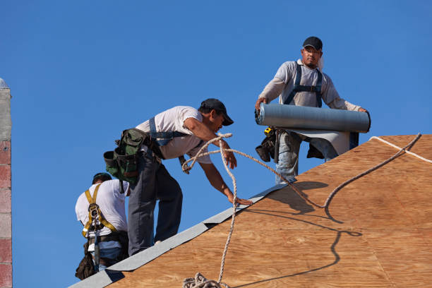 Best New Roof Installation  in Clare, MI